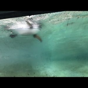 Meet your Posher, Whitney